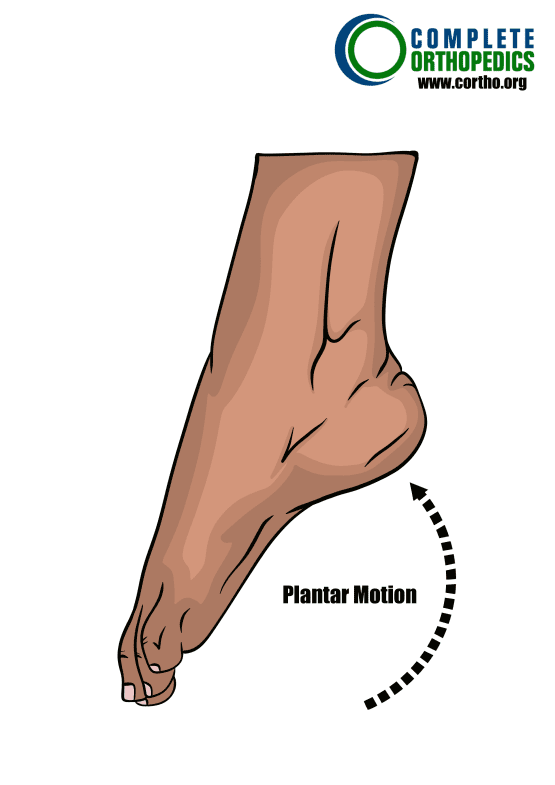 Plantar-Motion del tobillo para evaluar la pérdida de movimiento y calcular la pérdida programada de uso para el paciente de compensación laboral